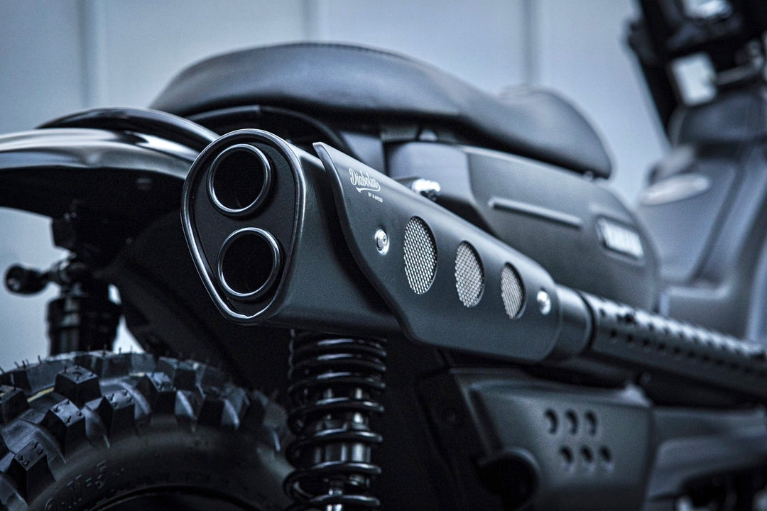 バトルロードスプリング2005 クイックキラ 闘エネルギー 　2枚 ダートフリーク / DIRTFREAK